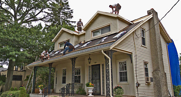 Best Storm Damage Roof Repair  in Johnsonville, SC